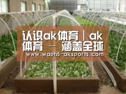 环境展示五