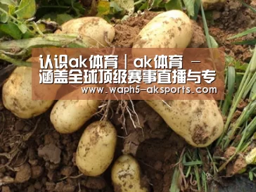 种植基地六