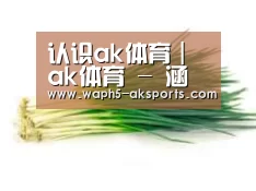 产品名称二