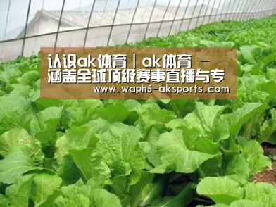 种植基地一