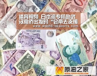 数据分析