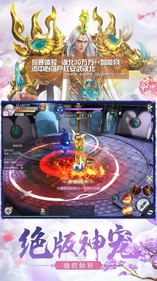 AK体育